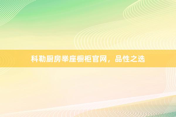 科勒厨房举座橱柜官网,品性之选