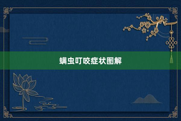 螨虫叮咬症状图解